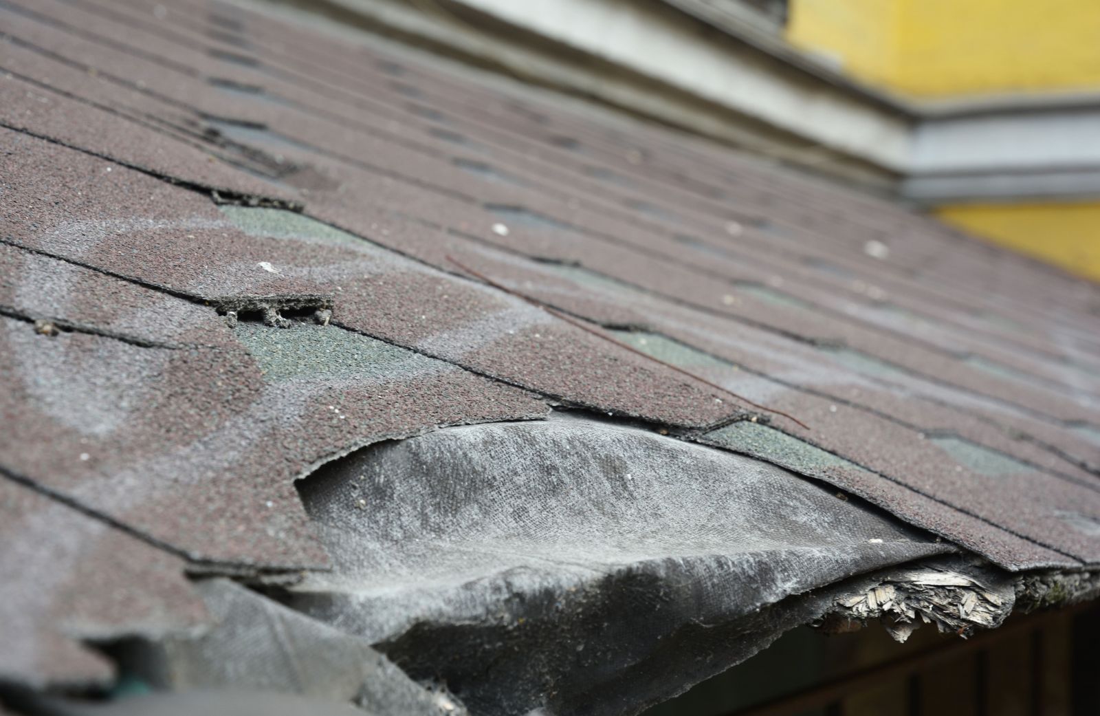 Cal Coast Roofing Images