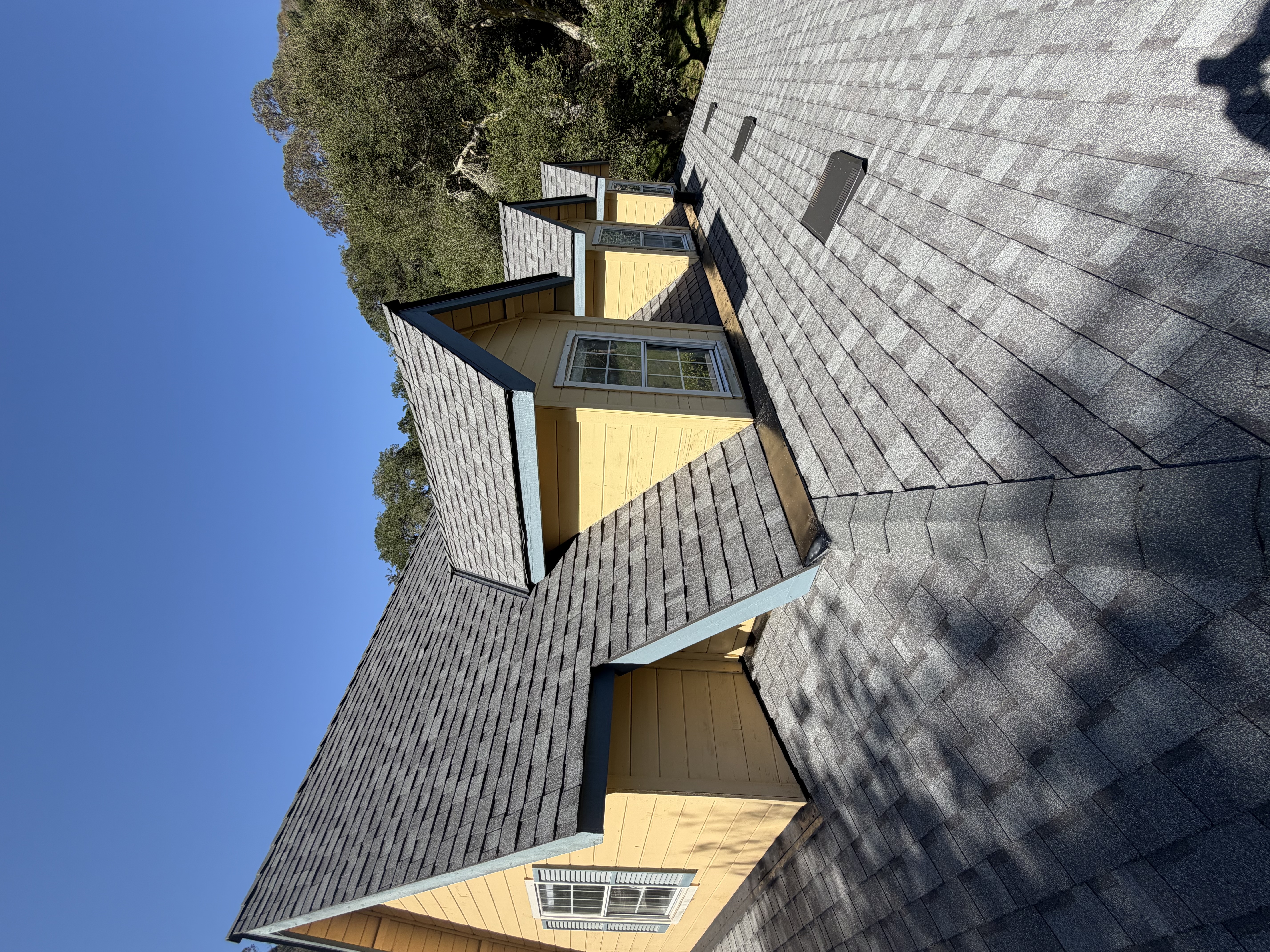 gallery grid image